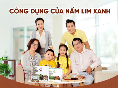 Công dụng nấm Lim Xanh Tiên Phước: Vì sao được ví như “thần dược” xứ Quảng?